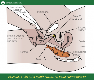 Thủ thuật tăng nhạy cảm điểm G giúp phụ nữ thăng hoa trong cuộc sống