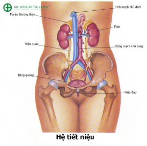 Nguy hiểm: Những tác hại của bệnh viêm bàng quang ở nam