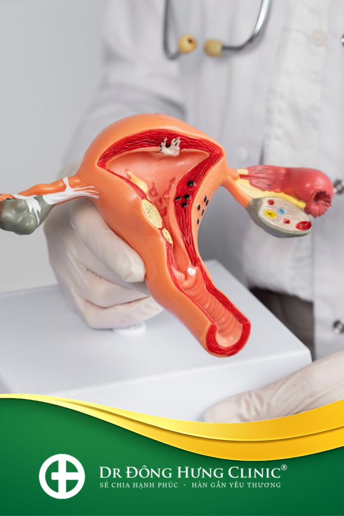 hậu sản - sau sinh - sinh lý - tiết niệu - âm đạo - sàn chậu