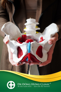 hậu sản - sau sinh - sinh lý - tiết niệu - âm đạo - sàn chậu