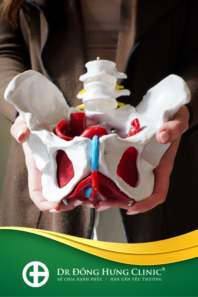 hậu sản - sau sinh - sinh lý - tiết niệu - âm đạo - sàn chậu