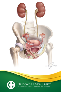 sàn chậu học cơ bản