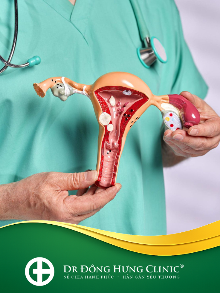 thẩm mỹ- phục hồi- trẻ hóa - cùng kín- cô bé