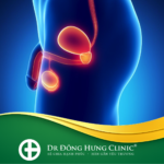 bao quy đầu - tinh hoàn - bàng quang- tuyến tiền liệt - sinh dục nam