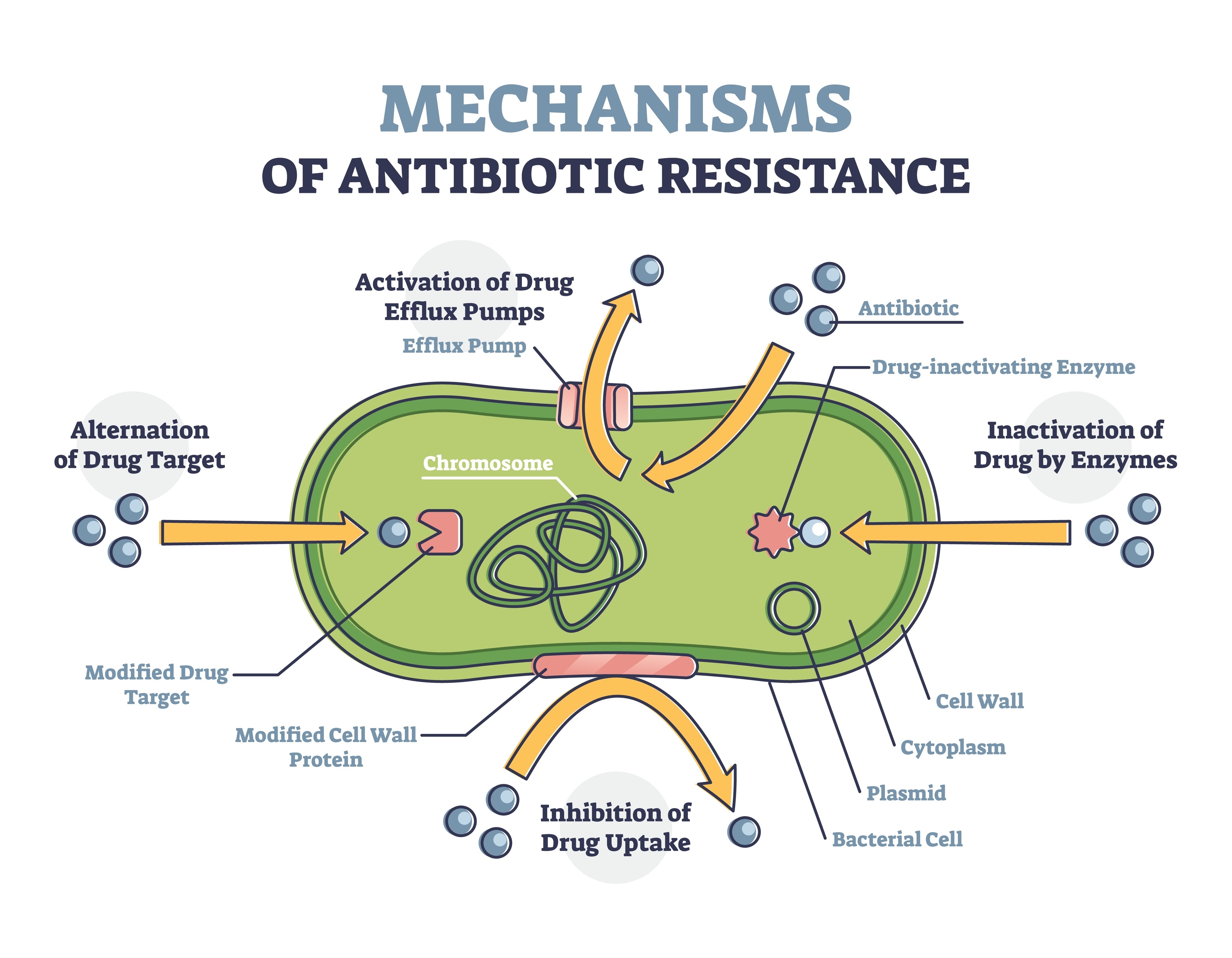 bacterial antibiotic resistance mechanism, AI generated